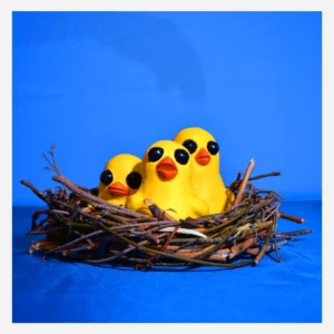 Artwork for Hoi-Poi’s "Sain’t Adorable"