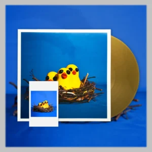 Hoi-Poi’s cassette and vinyl bundle for "Sain’t Adorable"