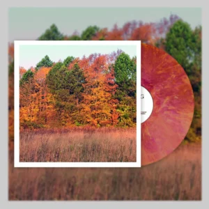 Vinyl format of Omsorg’s "Moments, Movements"