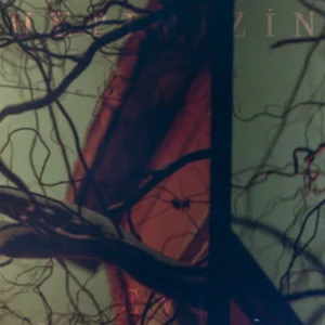 Album artwork for Pembe’s "Hepimizin Evi"