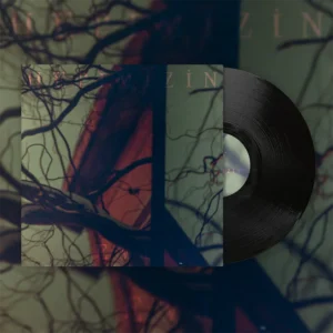 Vinyl edition of Pembe's "Hepimizin Evi" album